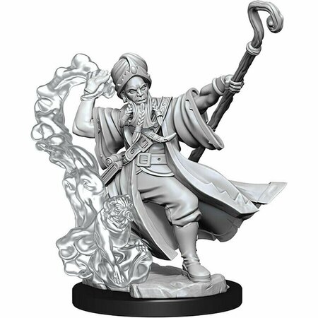 TOYS4.0 Male Dungeons & Dragons Frameworks Wave 1 Human Wizard Miniatures TO2736855